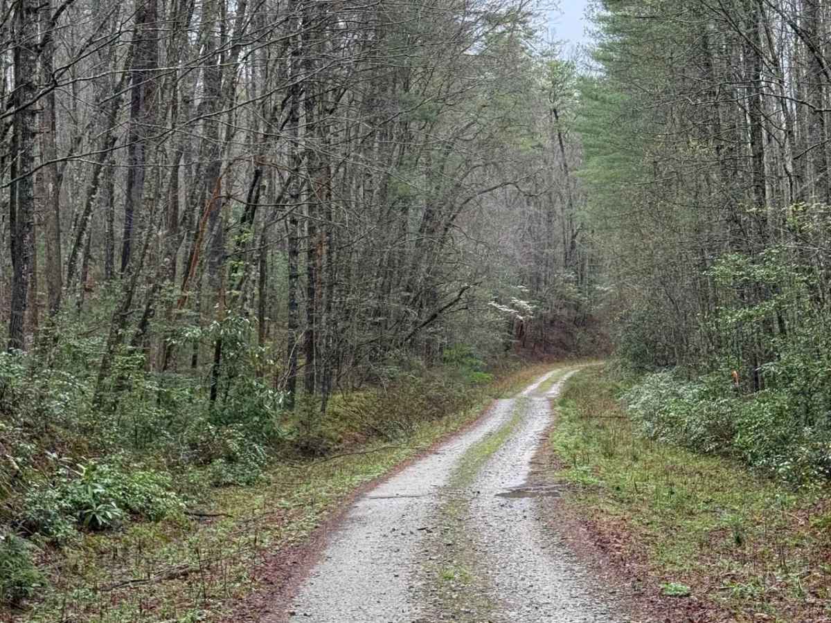 Billingsley Creek - FS 86B photo 6