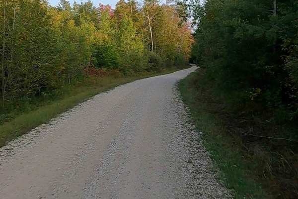Red Creek Road - FS 3118  