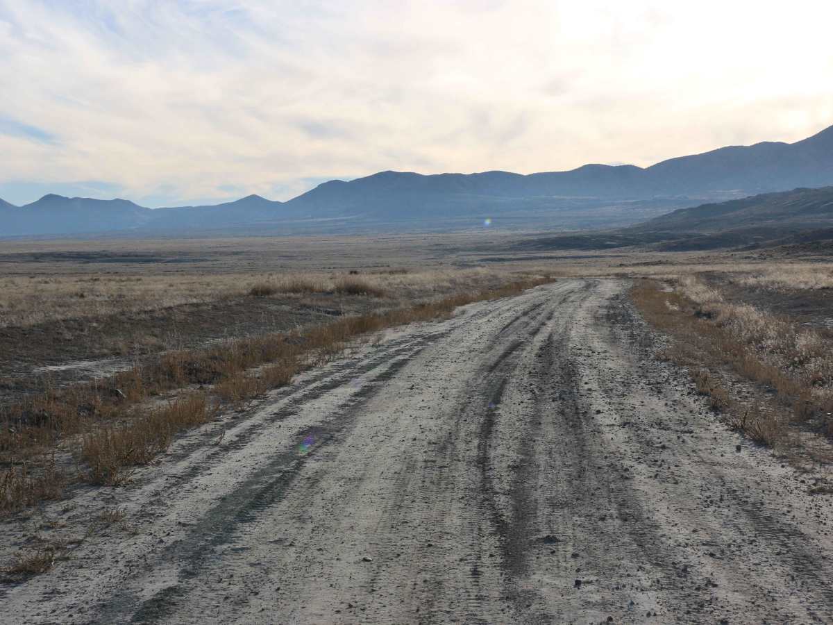 Puddle Valley / Jack Rabbit Connector trail photo