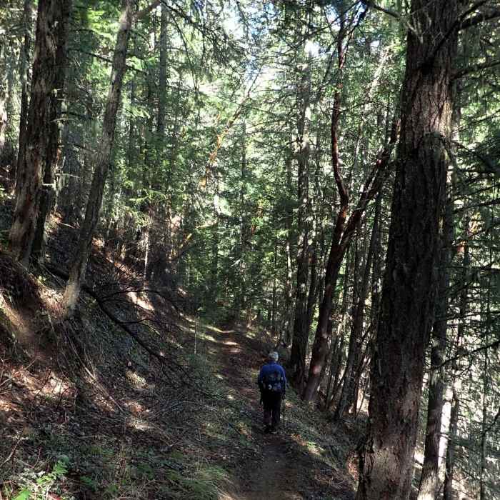 Near Jackson Creek Nature Trail