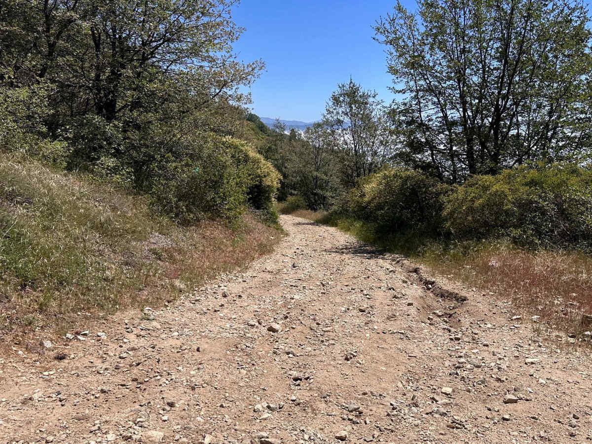 Windcarved Ridge trail photo