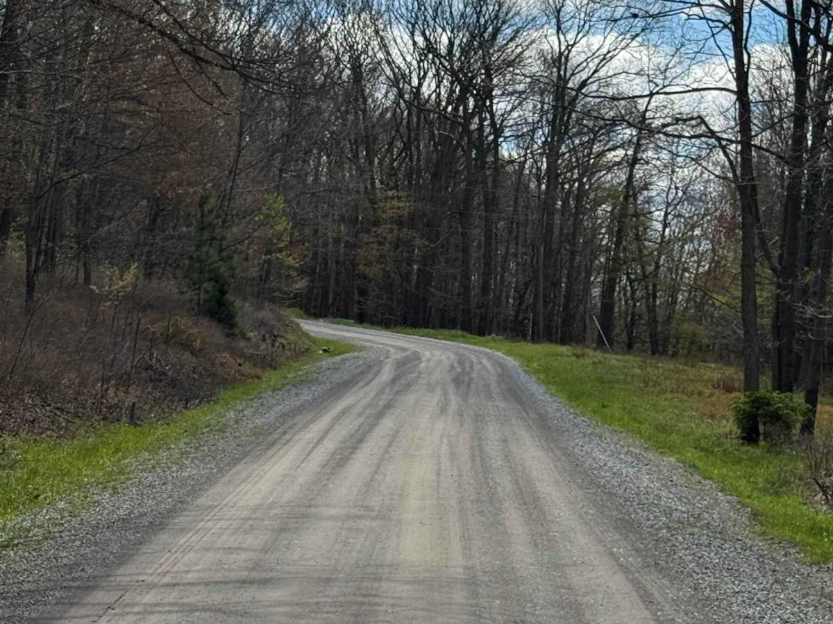 Kennedy Preserve Road photo 4