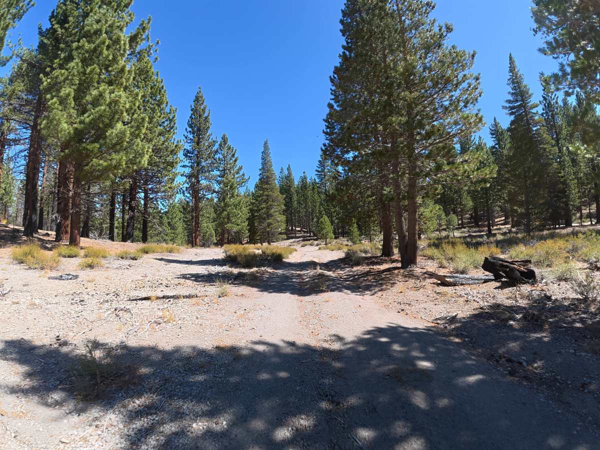 FS 2S292K trail photo