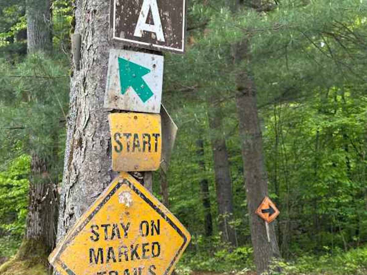 A Green A- A10 trail photo