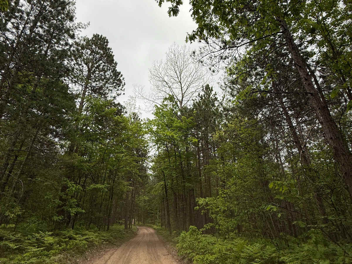 North Boardman River Trail photo 6