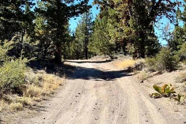 Loope Canyon Road - FS 31190