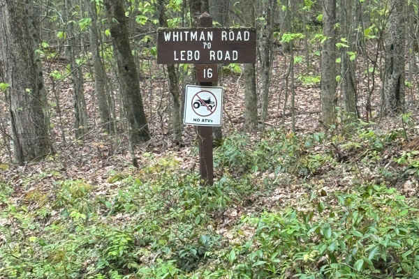 Whitman Road