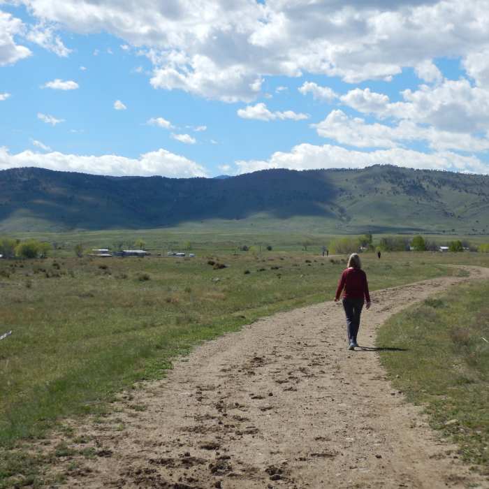 Near North Rim Trail
