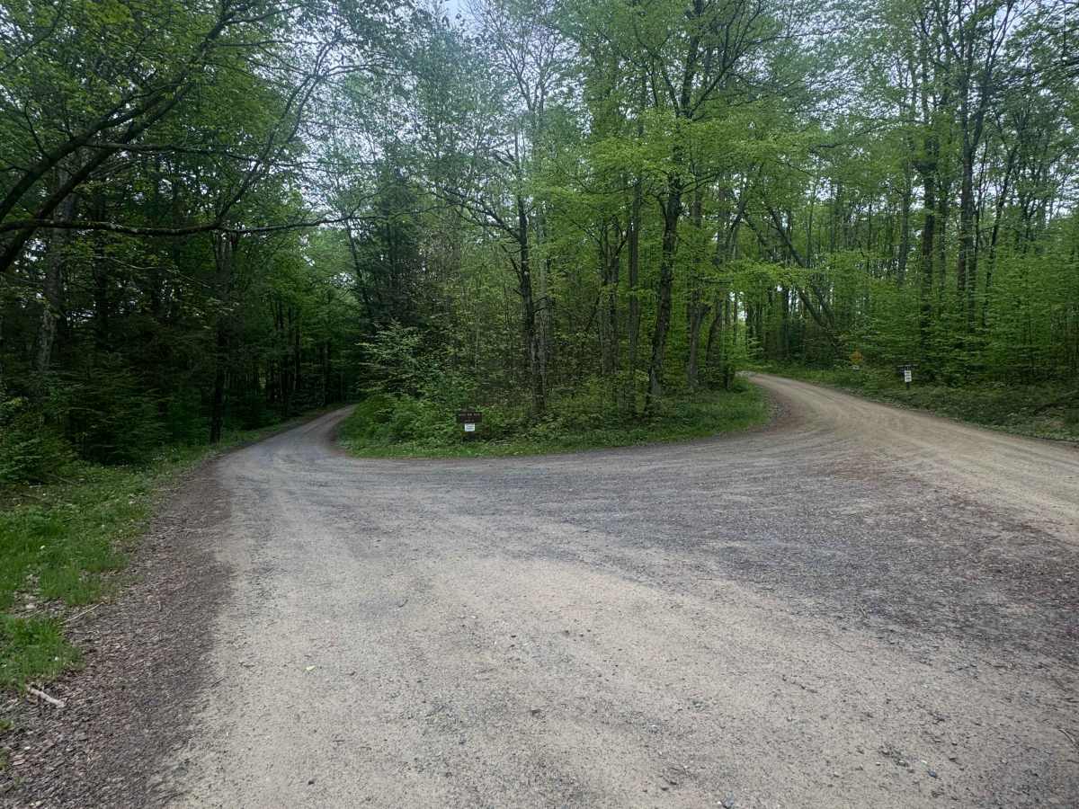 Joerg Run Road photo 2