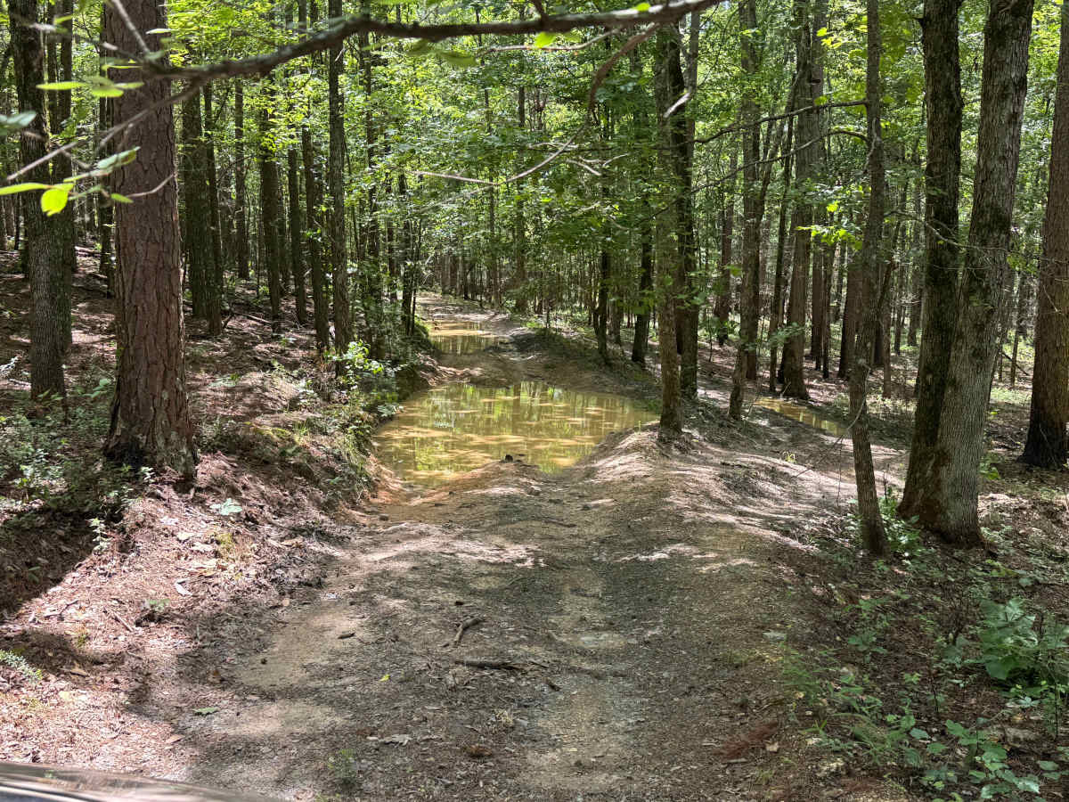 Shirley Creek photo 2