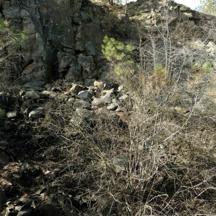 Near Fish Lake Trail