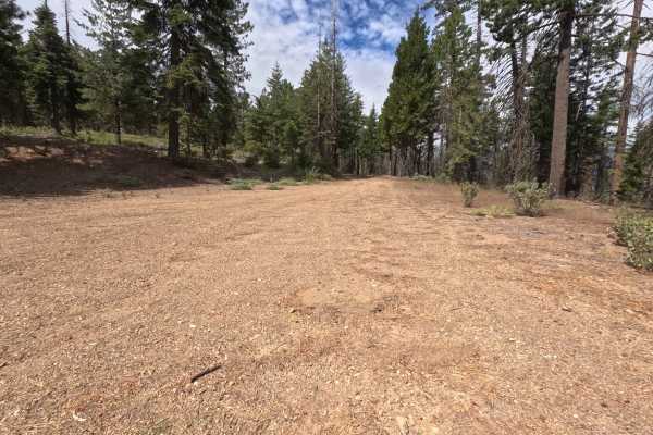 Brushy Camp Ridge - FS 19N02