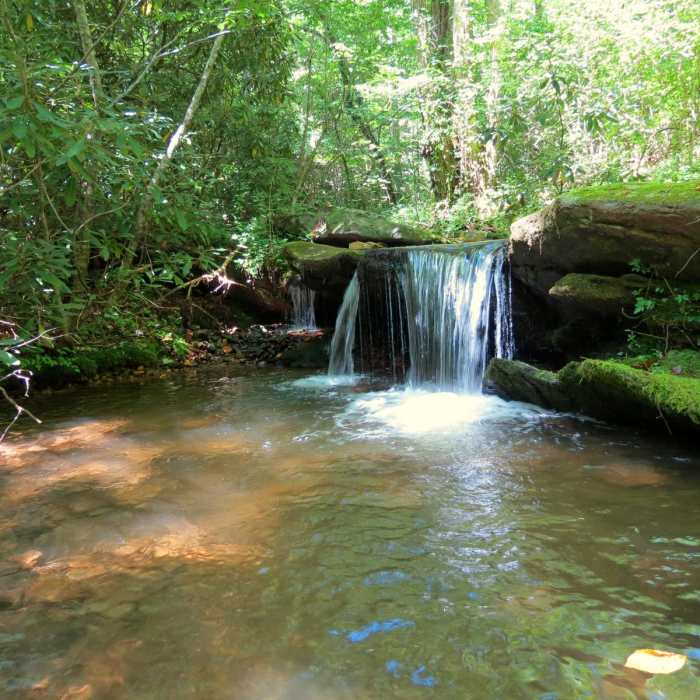 Near Bearden Falls Trail