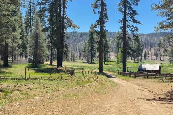 Alder Creek - FS 11N46