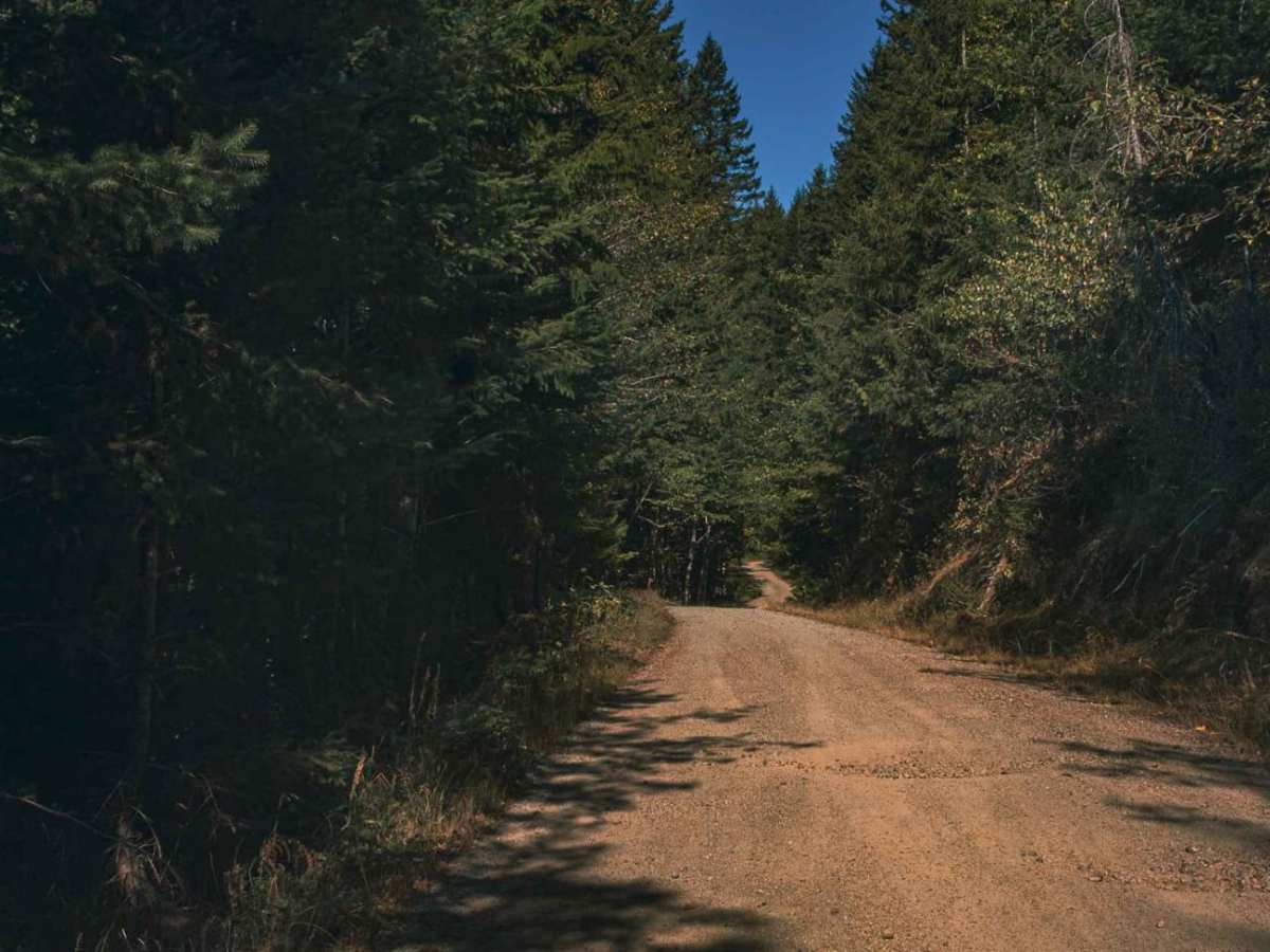 Butter Creek photo 4