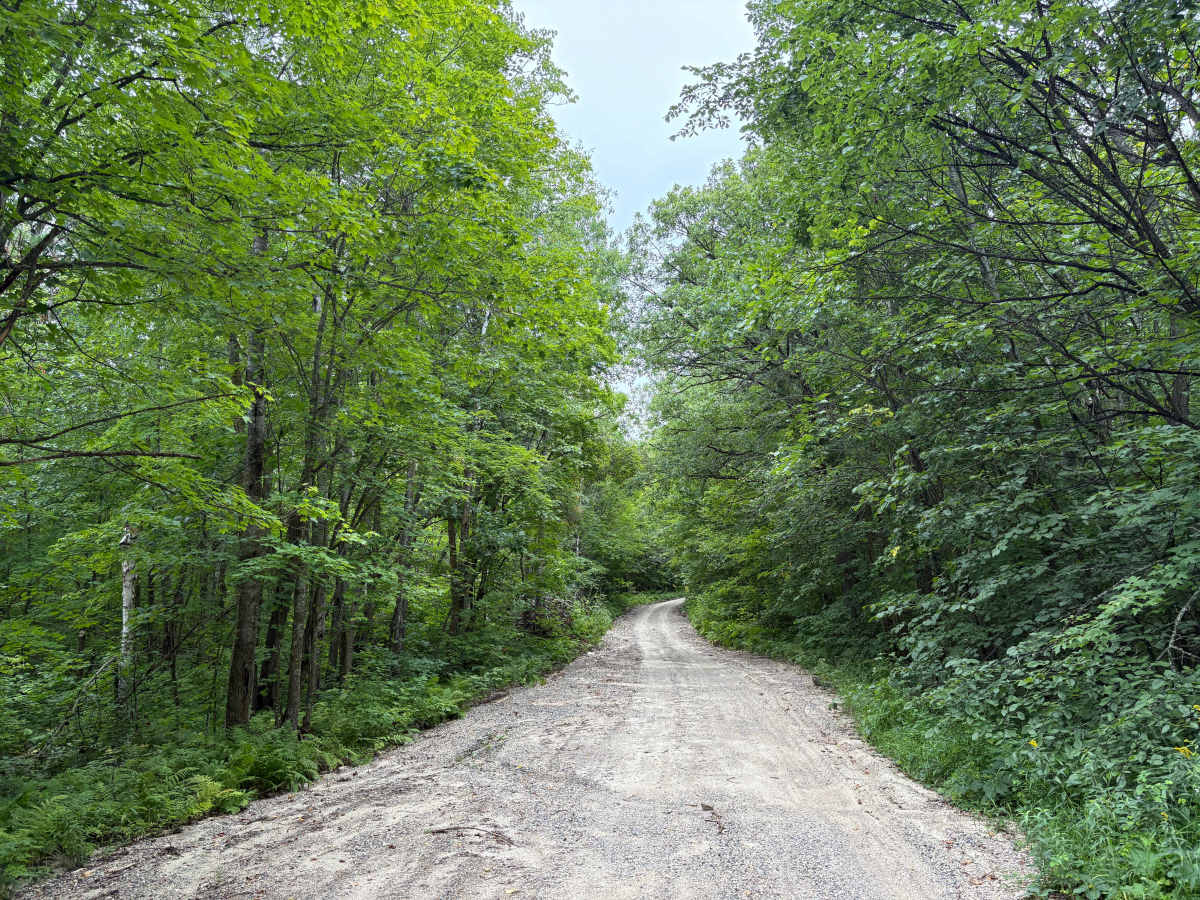 Waptus Forest Road photo 5