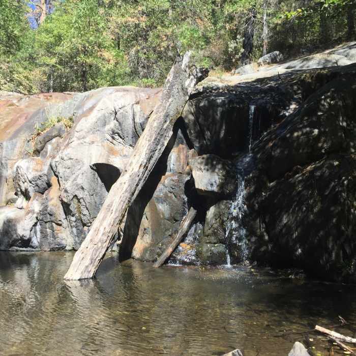 Near Lewis Creek Trail