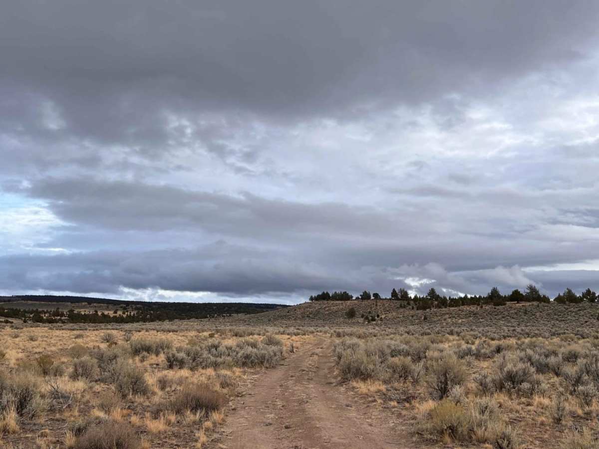East Fish Creek Road photo 6