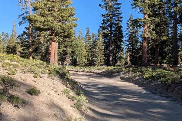 Sawmill Gap Cutoff FS3S33
