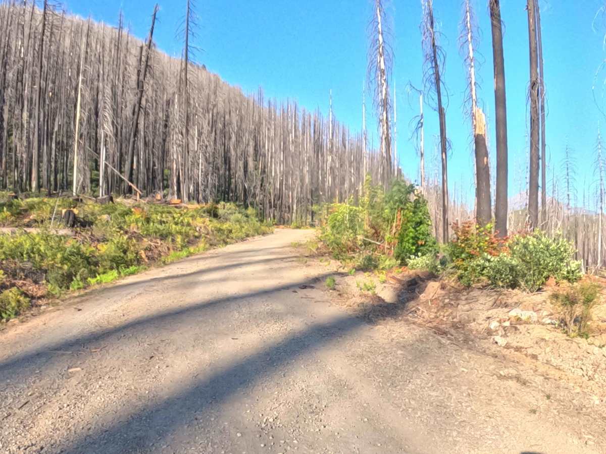 Homestead Road - FS 2200020 photo 3