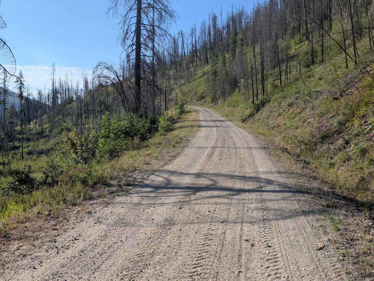 FS 3800-025 trail photo