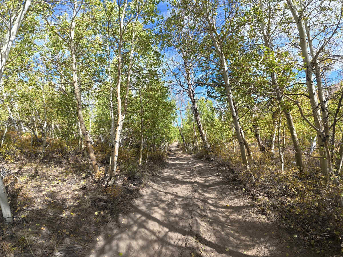 Prospects Connector Road trail photo