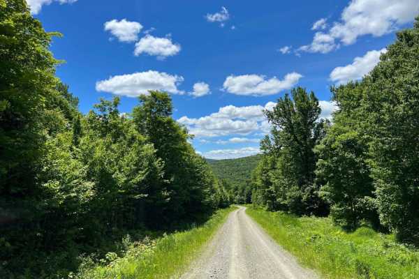 Cedar Stream Road