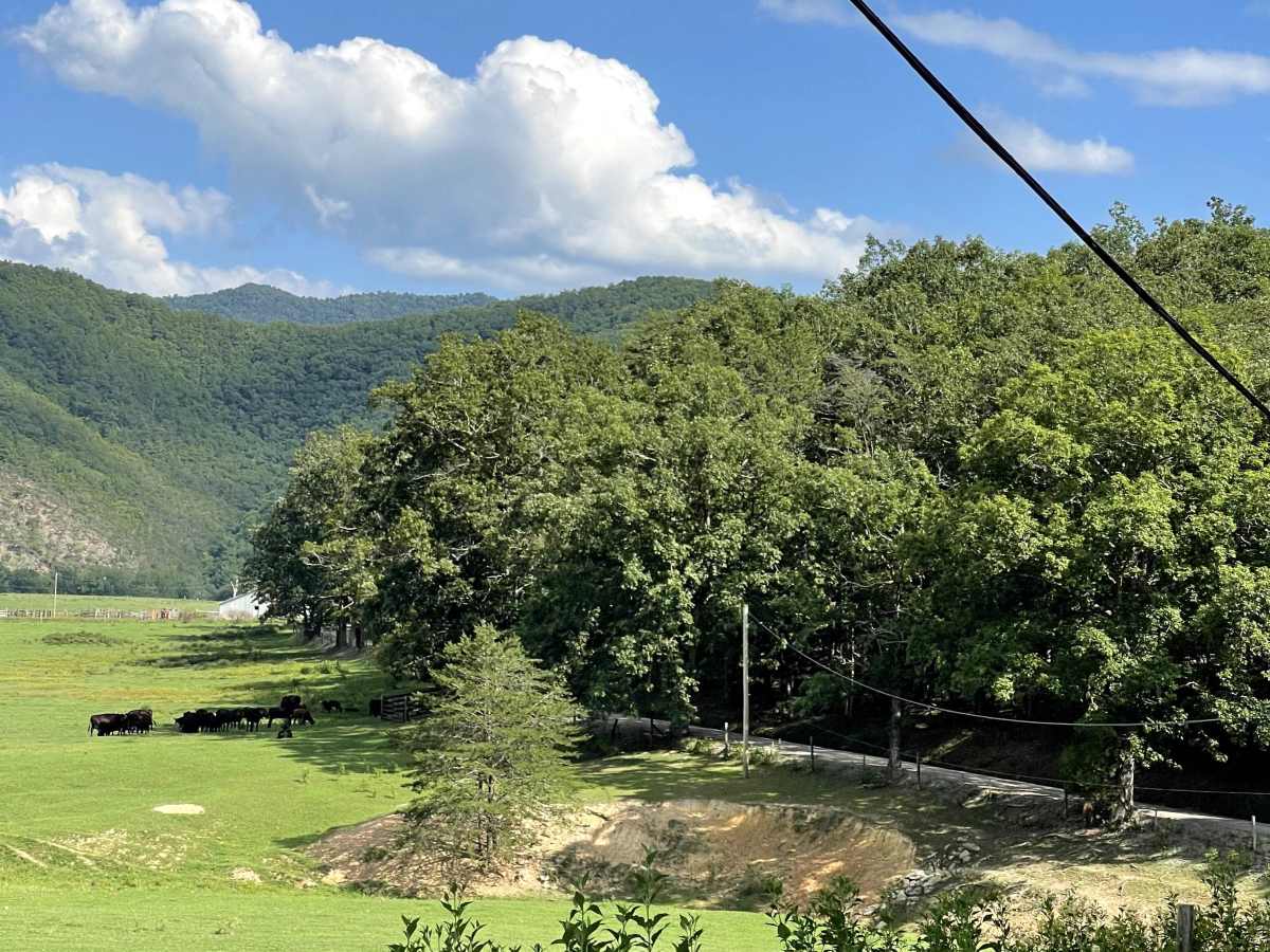 Three Oaks Road trail photo