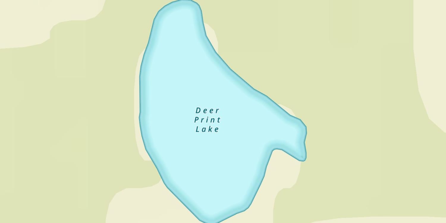 Deer Print Lake