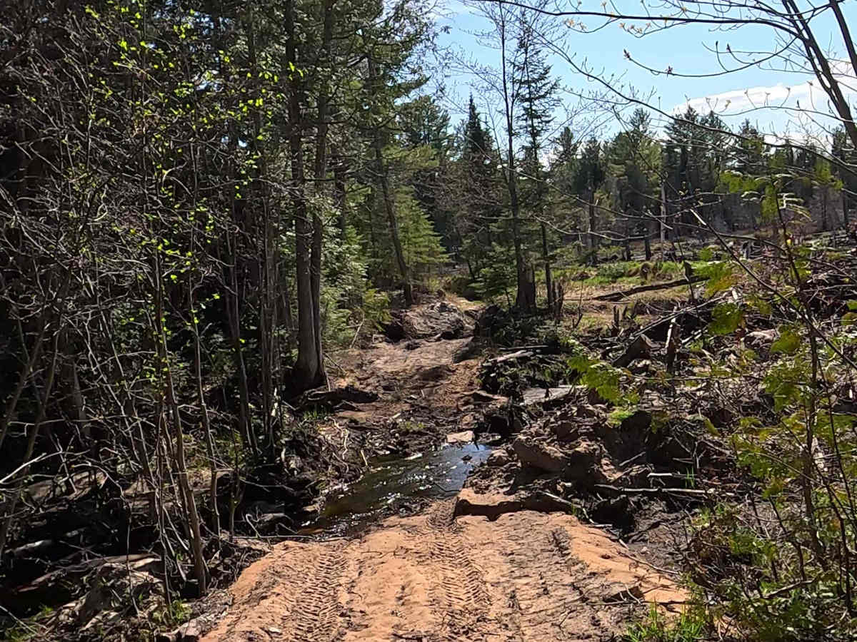 North Beaver Road photo 3