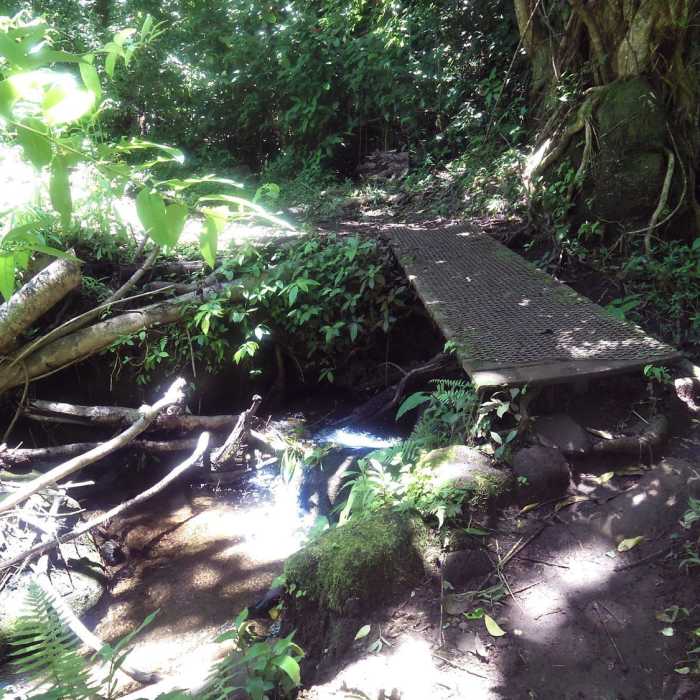 Stream crossing. Near Makiki Valley Loop
