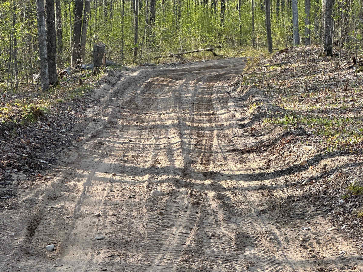 Kalkaska Trail SL photo 4