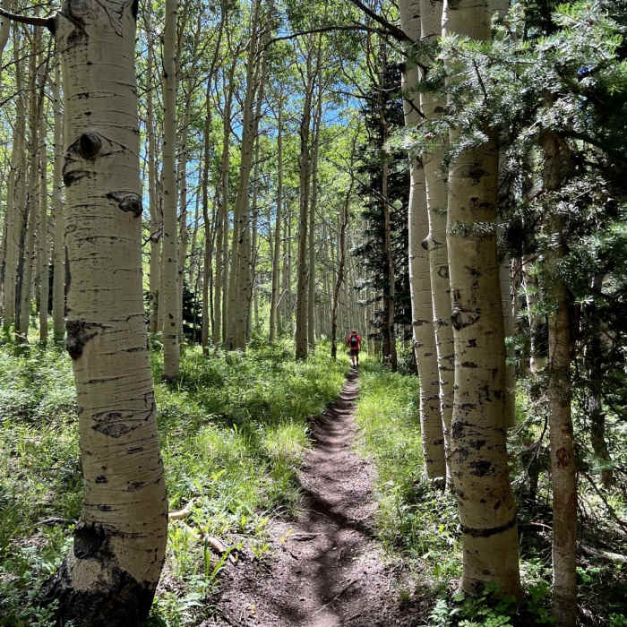 Near Clear Creek Trail