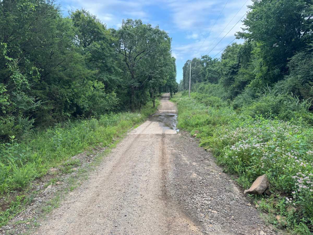 County Road 4451 photo 2