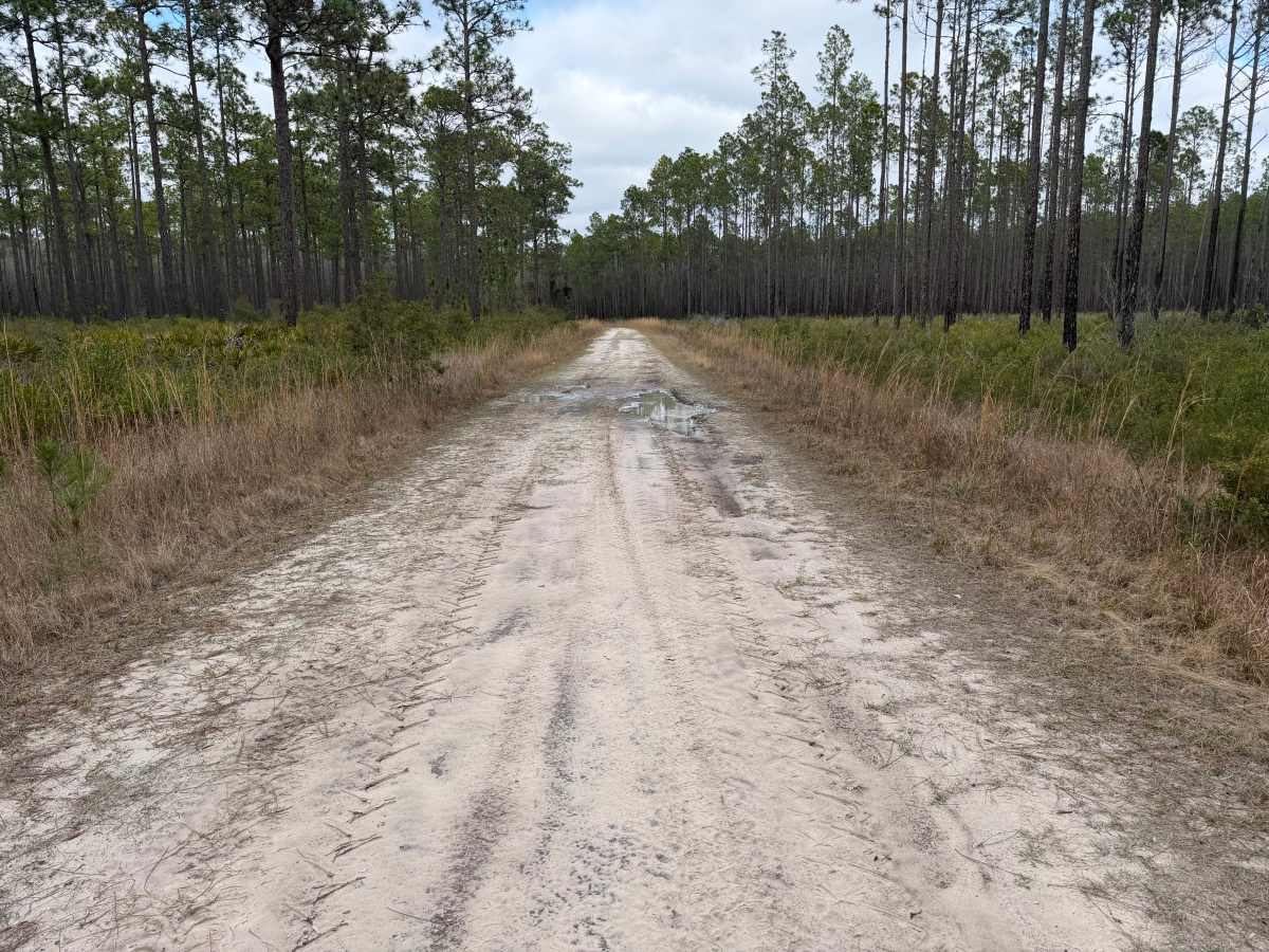 FR 206 photo 6