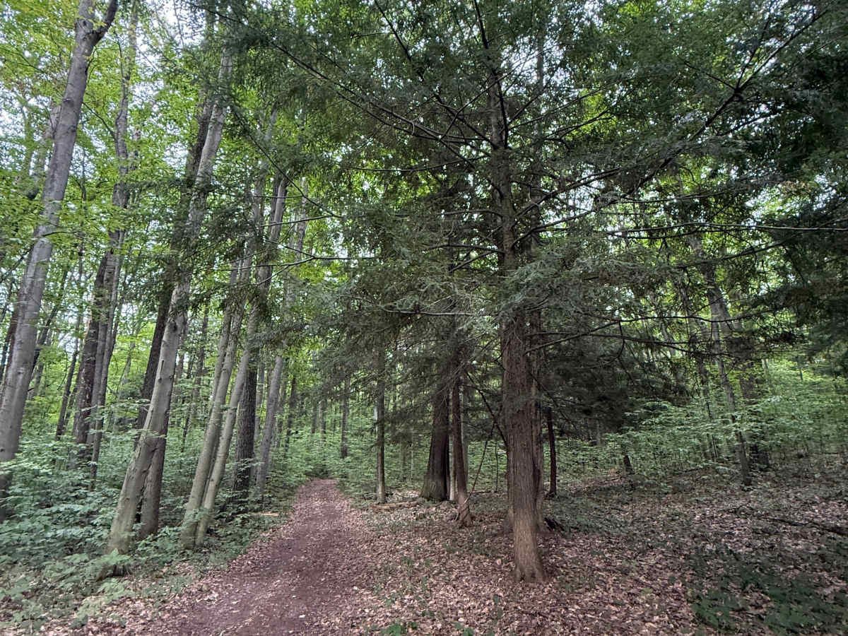 FS 7501 photo 5