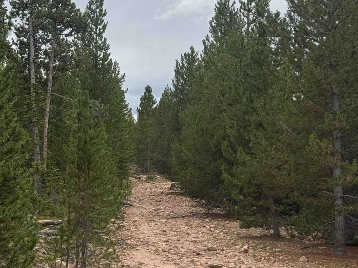 Carter Creek East photo 6