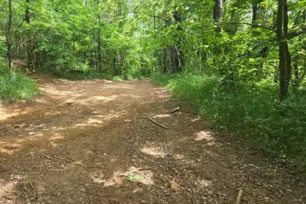 Trail 1