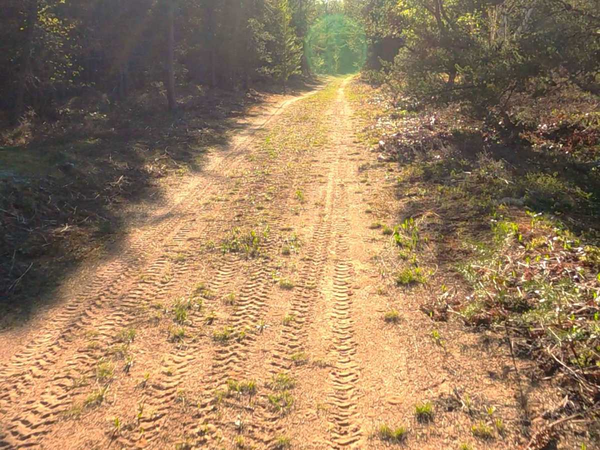 West Harvey Road photo 3