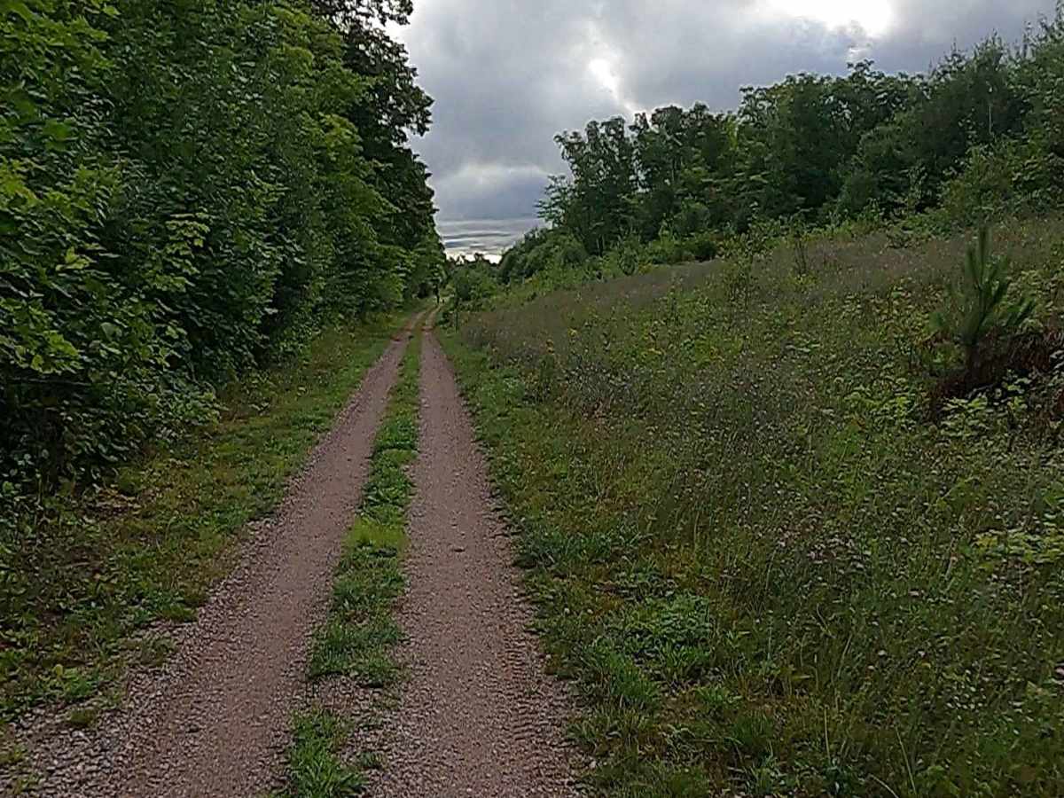Cleveland Cliff- Empire Mines Trackway trail photo