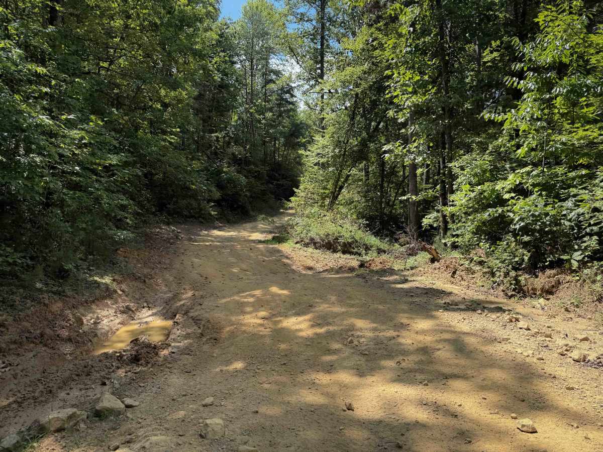 Lost Ridge Trail 14 photo 6