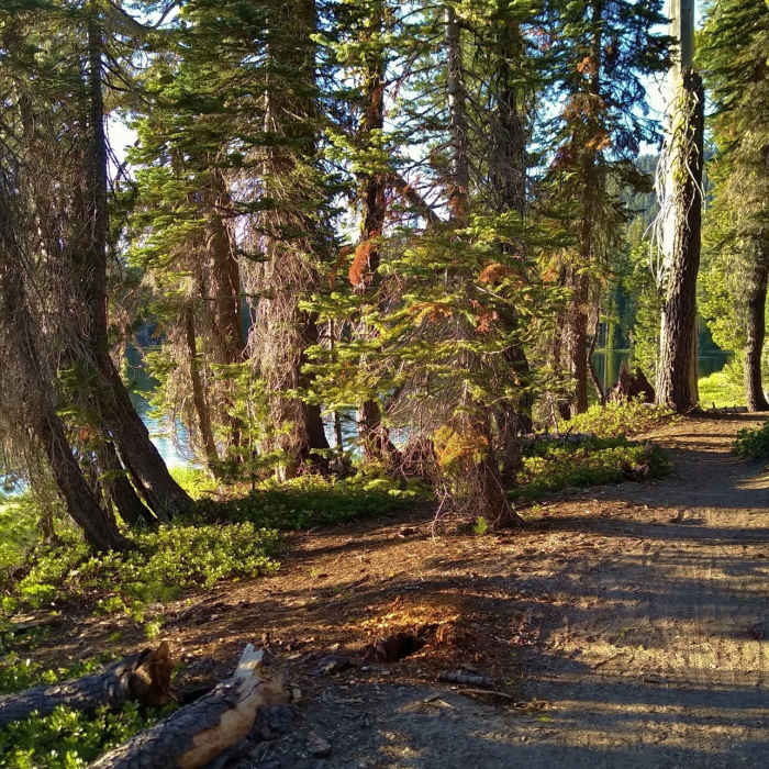 Near Summit Lake Amphitheater Trail
