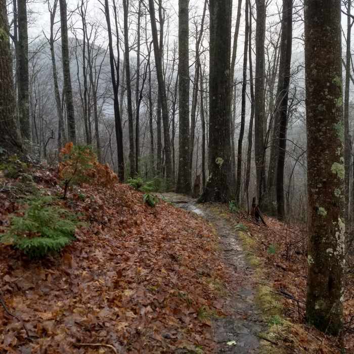 Near Huskey Gap Trail