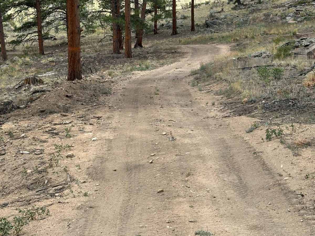 Wedge Road photo 6
