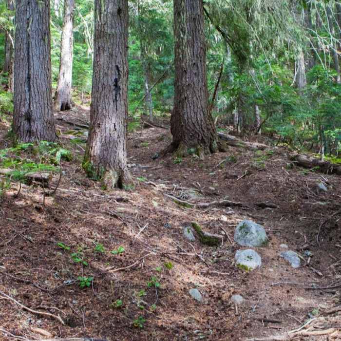 Near Chain + Doelle Lakes