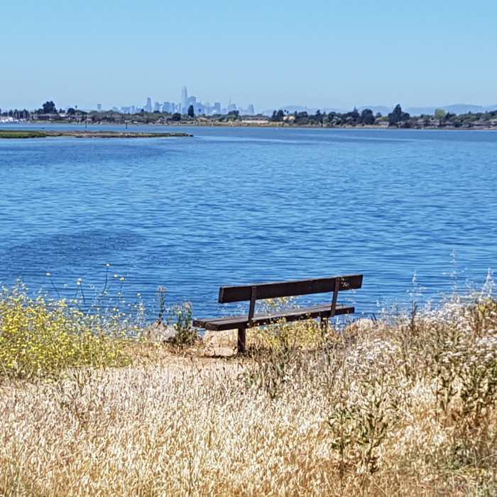 Near Martin Luther King Jr. Regional Shoreline