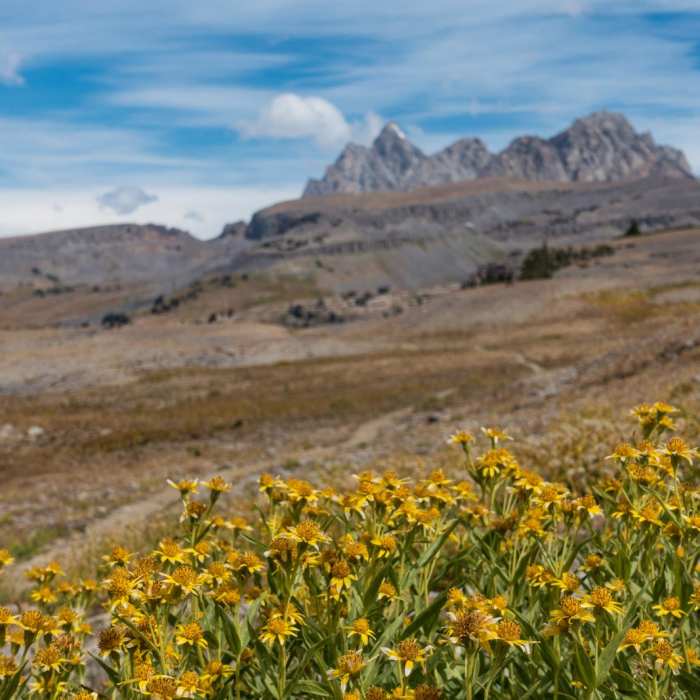 Near Teton Crest Trail Near Teton Crest Trail