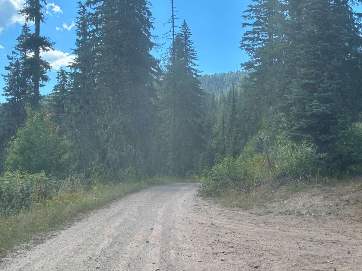 Dry Creek Road photo 4