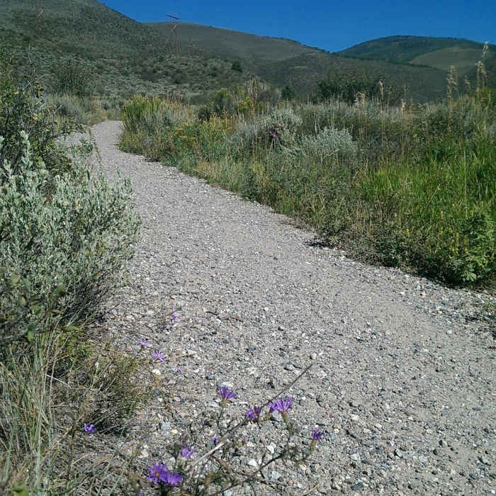 Near Wild West Ridge