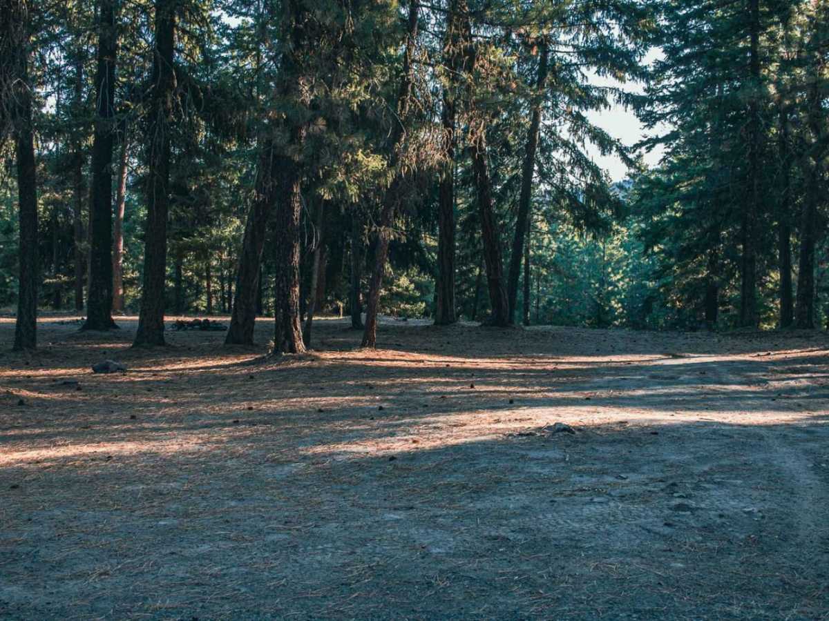 Milk Creek photo 6